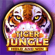 Hỗ trợ khách hàng Q8Bet 24/7