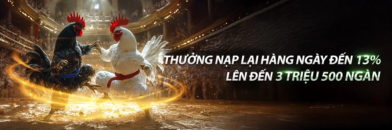 Sàn Đá Gà Trực Tuyến Q8Bet Hùng Vĩ